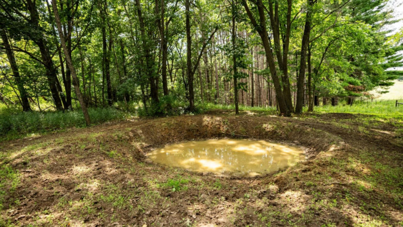 12 Advanced Food Plot Tips for Quality Deer Herds