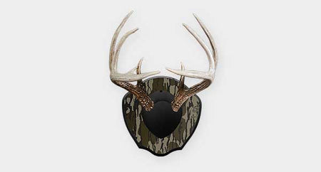 Antler Mount Plaques