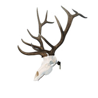 ELK POSITIONER - EUROPEAN SKULL WALL MOUNT (BLACK)