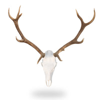 Record Keeper European Mount Kit for Elk