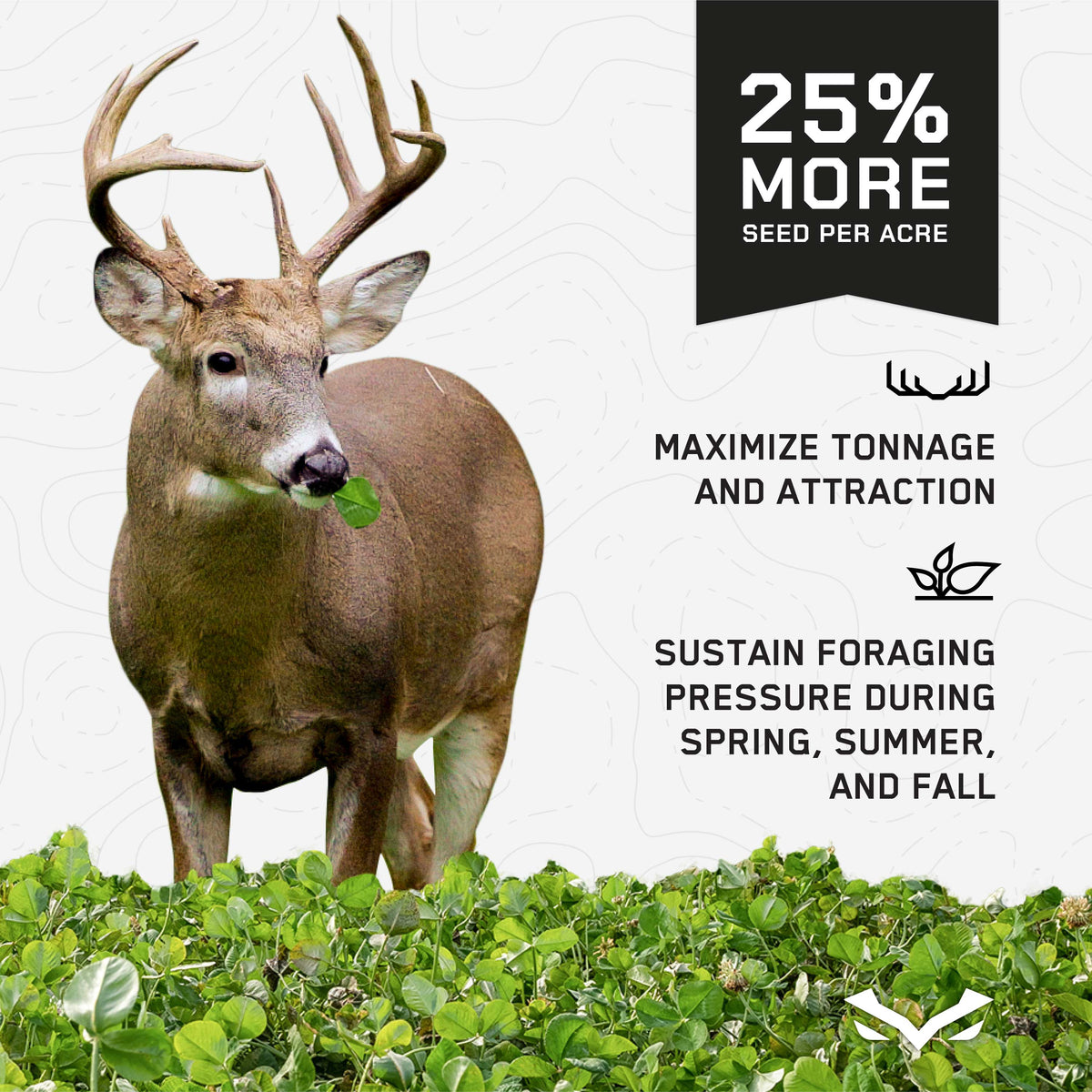 EASY GREENS BUNDLE - Perennial Food Plots for Deer