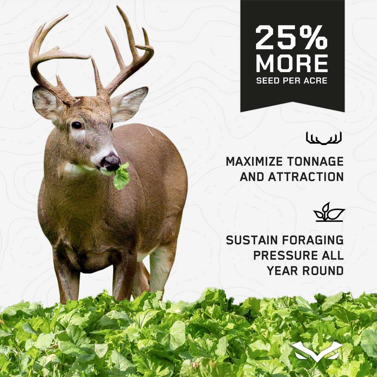 4 SEASONS - (Perennial + Annual) SEED Blend