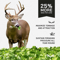 4 SEASONS - (Perennial + Annual) SEED Blend