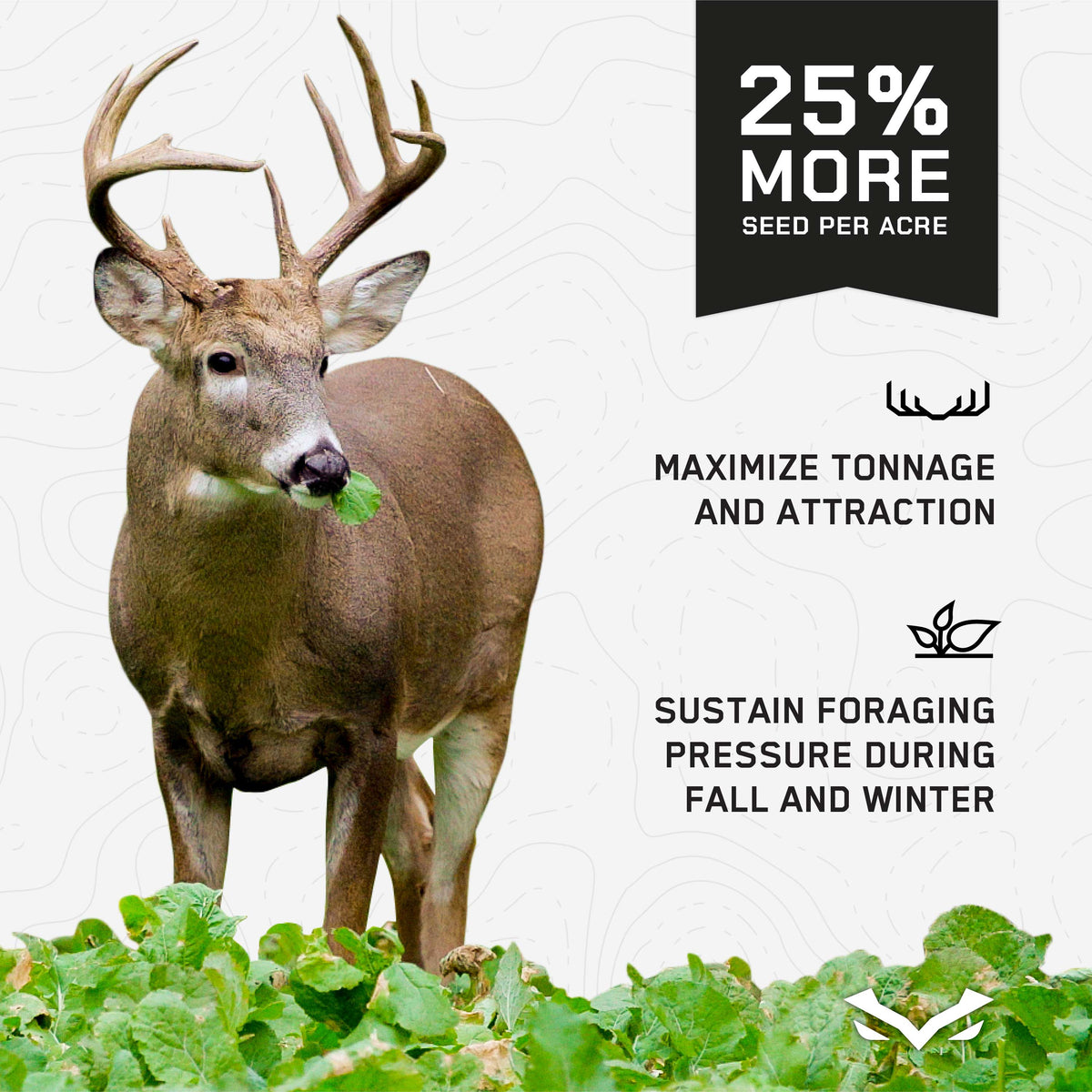 PRIME TIME SEED - Annual Brassica Food Plot Seed Blend