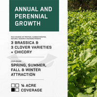 4 SEASONS - (Perennial + Annual) Food Plot System
