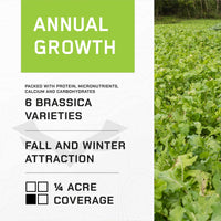 PRIME TIME SEED - Annual Brassica Food Plot Seed Blend