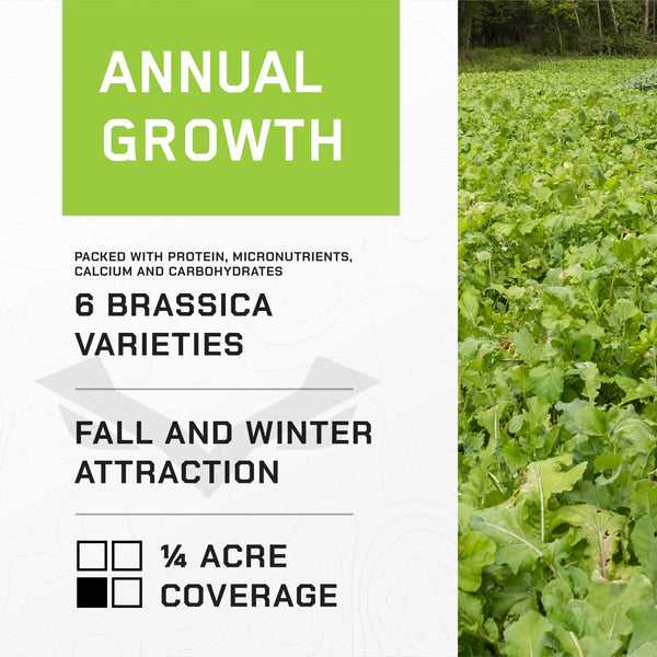 PRIME TIME SEED - Annual Brassica Food Plot Seed Blend