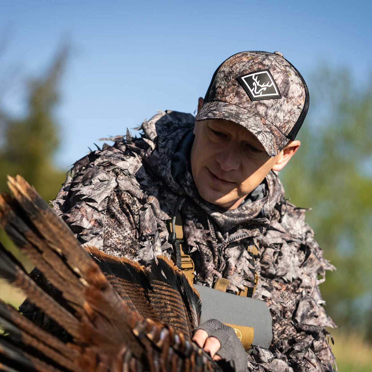 Deer Society Asio Raptor