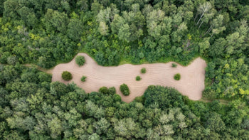 12 STRATEGIES FOR GROWING THE PERFECT DEER FOOD PLOT