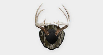 Antler Mounting Kits | Deer, Elk & Shed Antlers – Illusion Outdoor Systems
