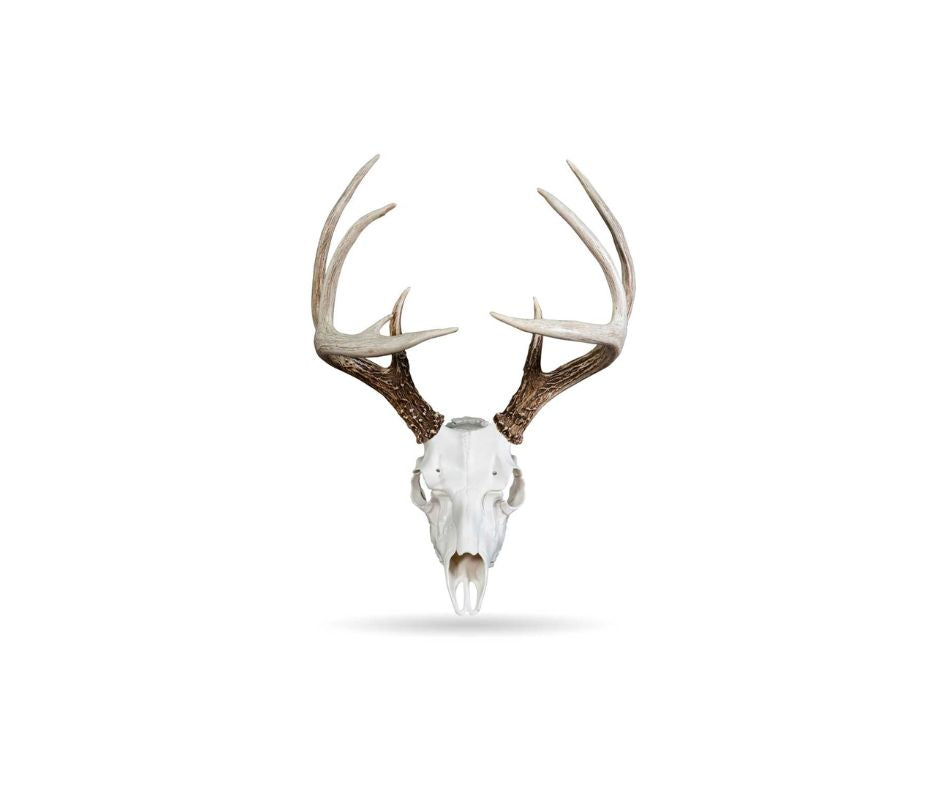 ANTLER MOUNTS