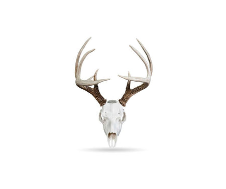 ANTLER MOUNTING SYSTEMS