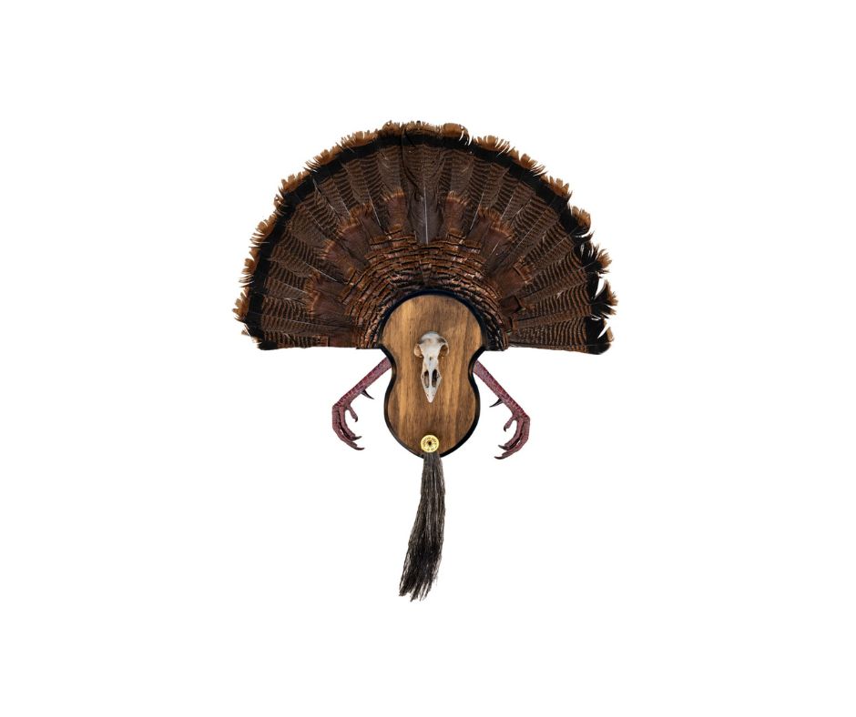 Turkey Fan Mounts