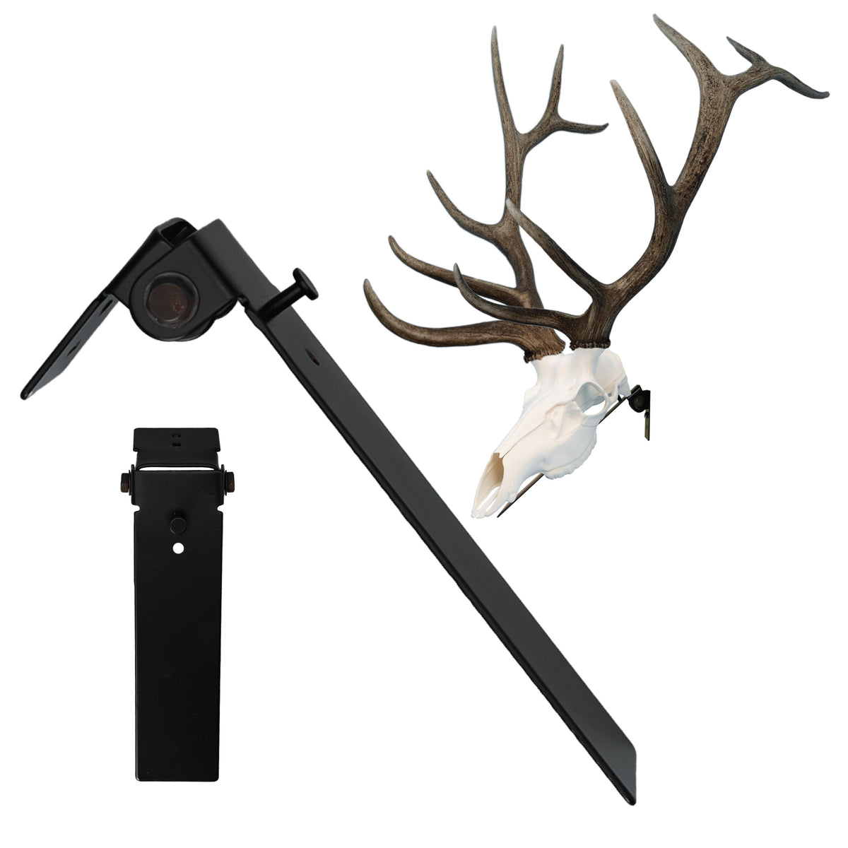 ELK POSITIONER - EUROPEAN SKULL WALL MOUNT (BLACK)