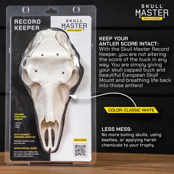 RECORD KEEPER - SKULL CAP EUROPEAN ANTLER MOUNT