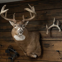 SHED Master - Deer Antler Hanger (2pk.) PRE-ORDER