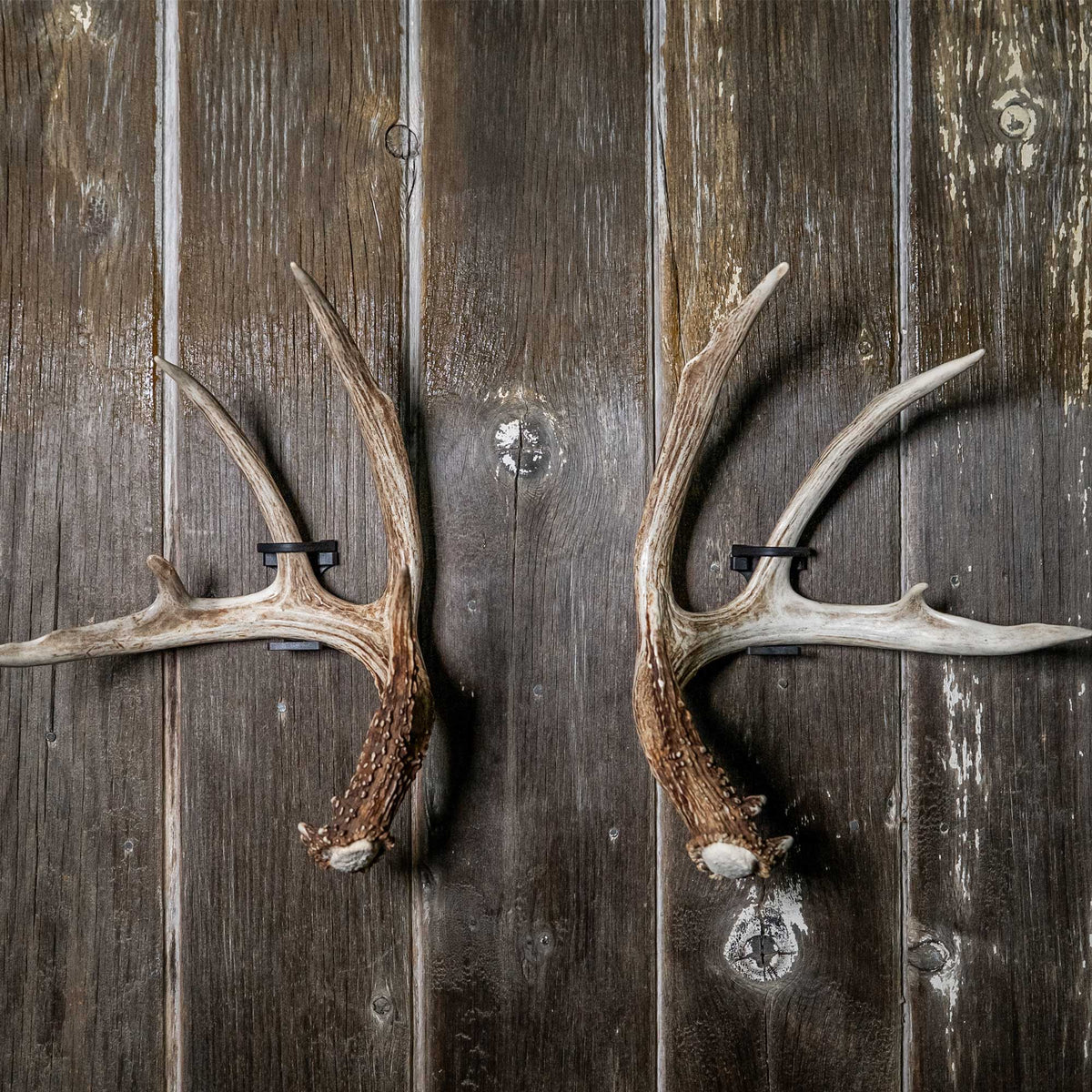 SHED Master - Deer Antler Hanger (2pk.) PRE-ORDER