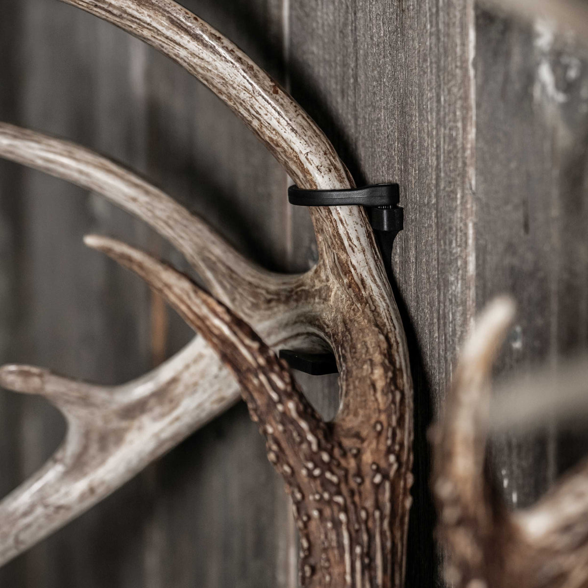 SHED Master - Deer Antler Hanger (2pk.) PRE-ORDER