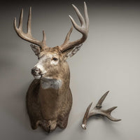 SHED Master - Deer Antler Hanger (2pk.) PRE-ORDER