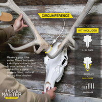 Skull Master European Mount Kit for Elk