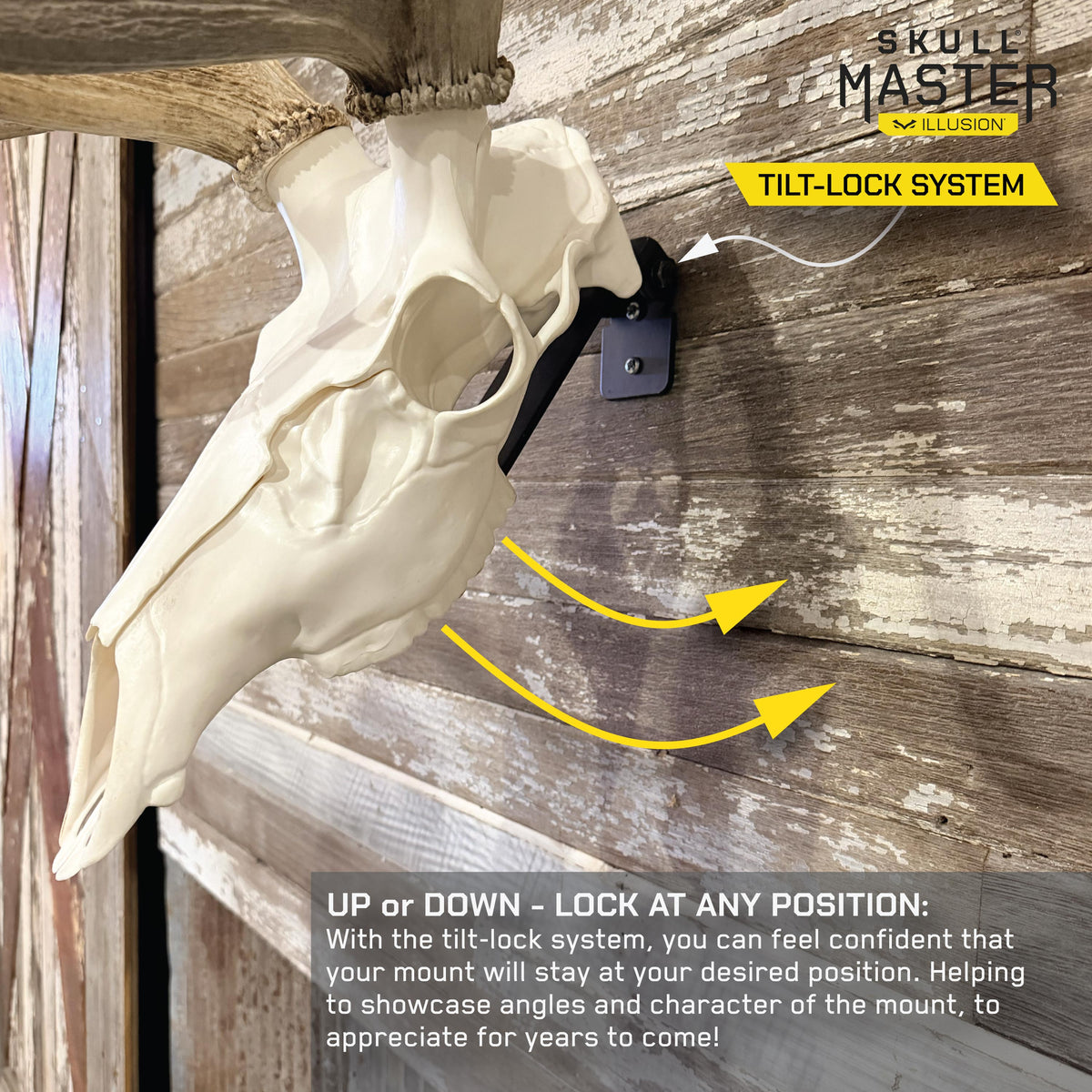 ELK POSITIONER - EUROPEAN SKULL WALL MOUNT (BLACK)