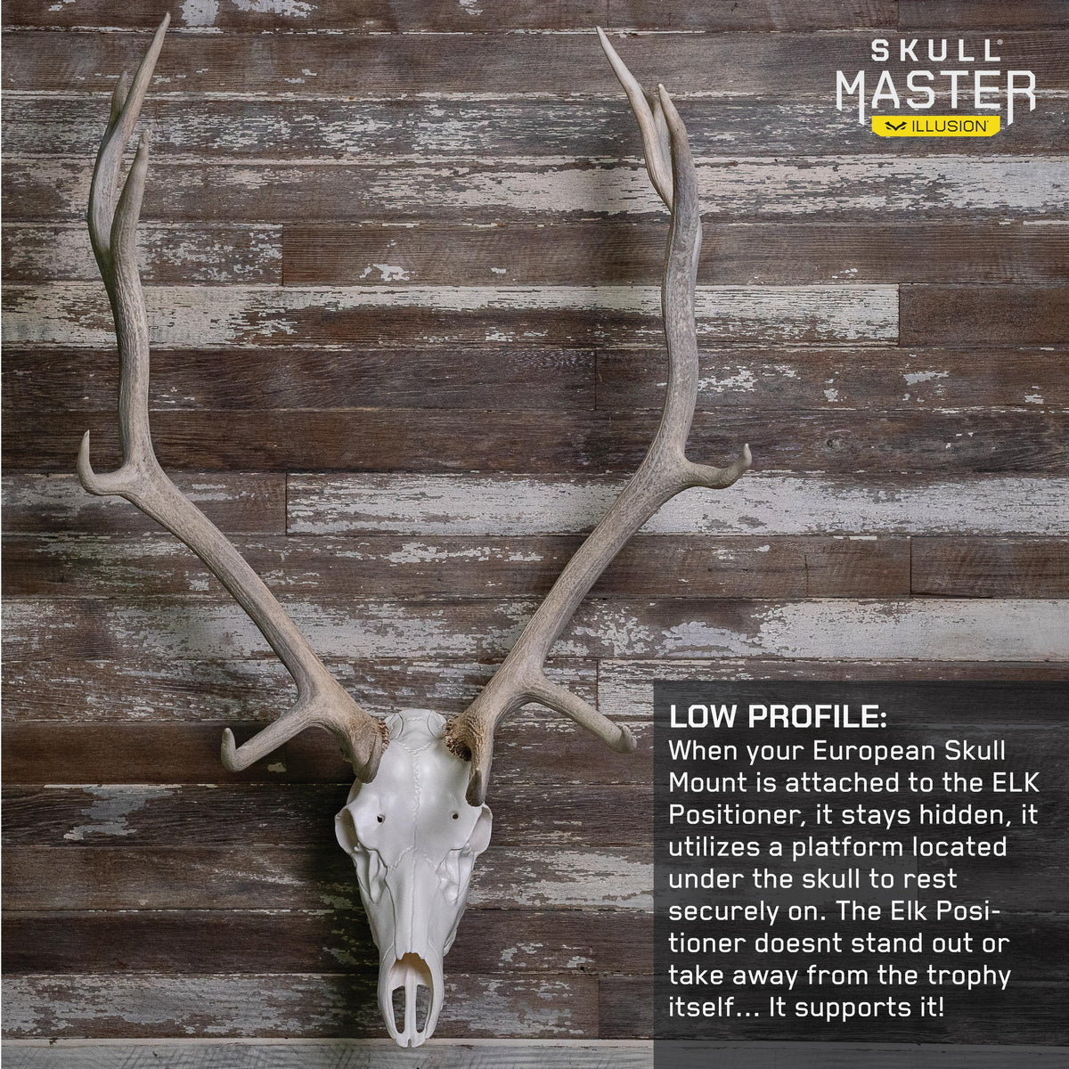 ELK POSITIONER - EUROPEAN SKULL WALL MOUNT (BLACK)