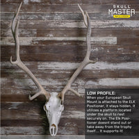 ELK POSITIONER - EUROPEAN SKULL WALL MOUNT (BLACK)