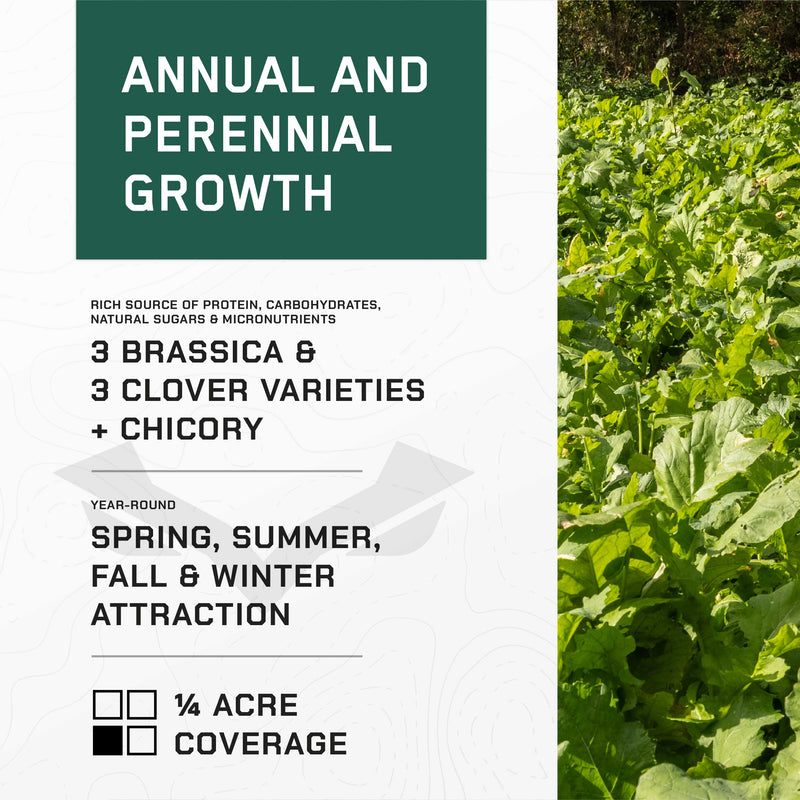4 SEASONS - (Perennial + Annual) Food Plot System