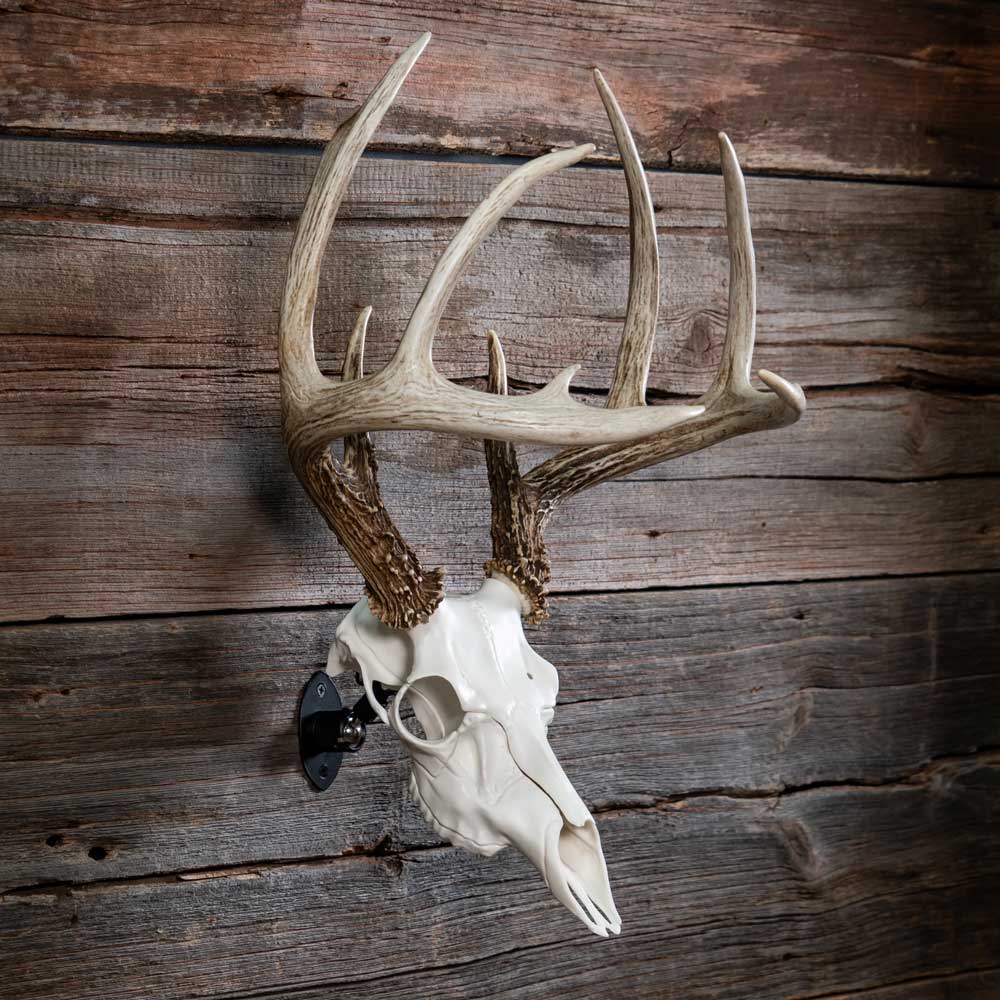 SKULL MASTER - WHITE